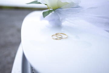 Image showing Wedding Rings