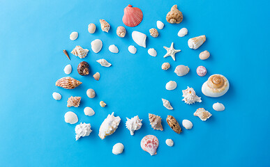 Image showing frame of different sea shells on blue background