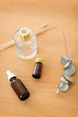 Image showing aroma reed diffuser, essential oil and eucalyptus
