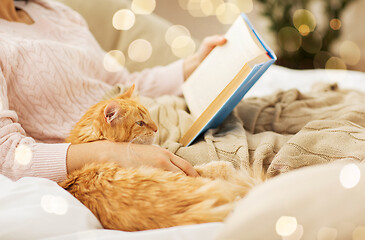 Image showing red cat and female owner reading book at home