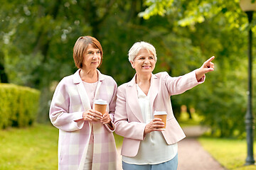 Image showing senior women or friends drinking coffee at park