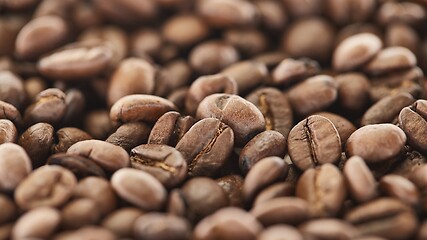 Image showing Roasted Coffee Beans