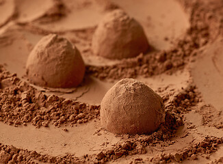 Image showing chocolate truffles on cocoa powder background