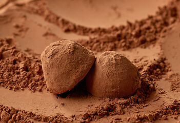 Image showing chocolate truffles on cocoa powder background