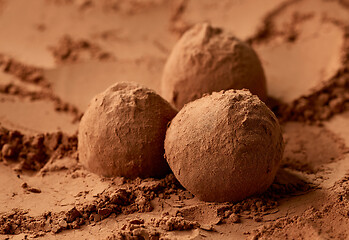 Image showing chocolate truffles on cocoa powder background