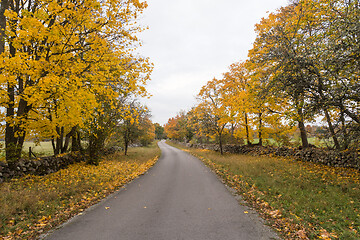 Image showing Colorful less travelled road in fall season