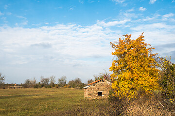 Image showing Fall season with a glowing tree