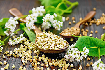 Image showing Buckwheat green and brown in spoons on wooden board