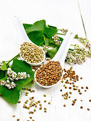 Image showing Buckwheat brown and green in spoons on wooden board