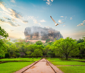 Image showing Garden near Sigiriya