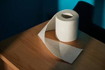 Image showing Toilet paper on shelf un sunlight