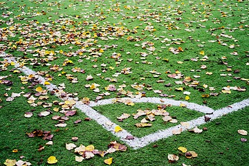 Image showing part of a football field with artificial turf with leaves