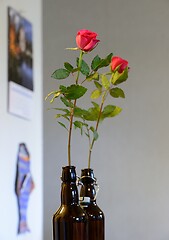 Image showing rose in a dark glass bottle 