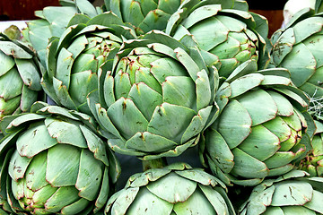 Image showing Artichokes