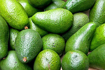 Image showing Avocado green