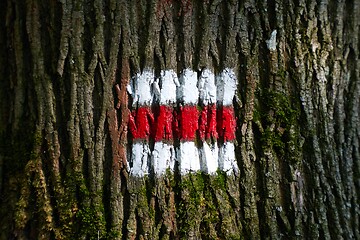 Image showing Hiking trail signs