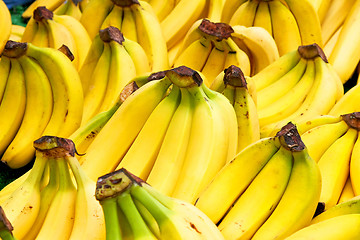 Image showing Bananas