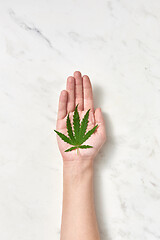 Image showing Woman\'s hand with a green fresh marijuana leaf on a marble gray background.