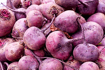 Image showing Beet root