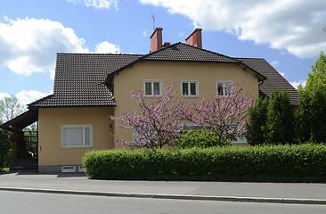 Image showing mansion and flowering spring trees