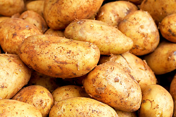 Image showing Big sweet potatoes