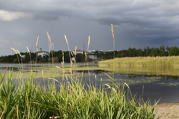 Image showing sandy beach and reeds on a summer day in Helsinki