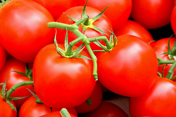 Image showing Big tomato