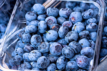 Image showing Blueberries