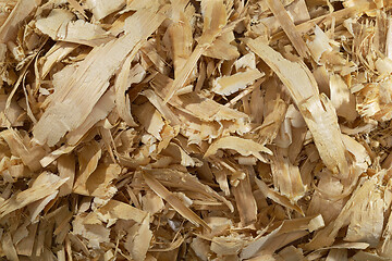 Image showing a lot of fresh wood shavings