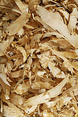 Image showing a lot of fresh wood shavings