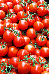 Image showing Bunch of tomatoes