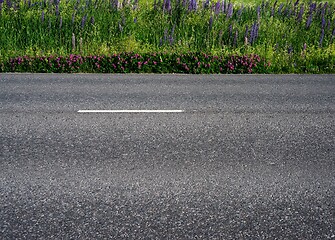 Image showing asphalt road along the field somewhere in Finland