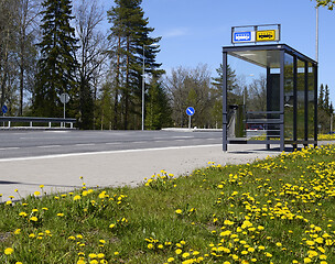 Image showing bus stop outside the city and yellow flowers on the lawn