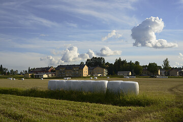 Image showing sloping field and hay bales packed in white plastic