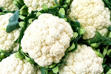 Image showing Cauliflower