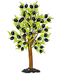 Image showing Vector illustration tree with fruit olive drawing