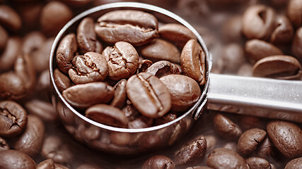 Image showing Close up of seeds of coffee. Fragrant coffee beans are roasted s