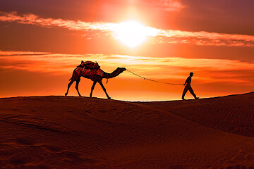 Image showing Cameleers, camel Drivers at sunset. Thar desert on sunset Jaisal