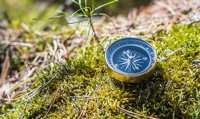 Image showing Traveller compass on the grass in the forest