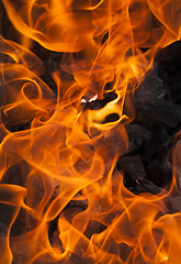 Image showing fire background