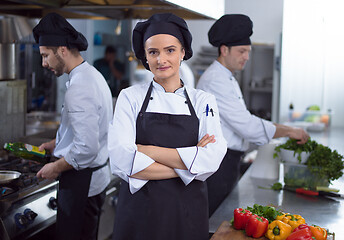 Image showing Portrait of young chef