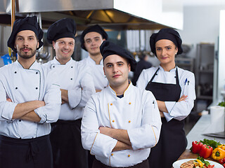 Image showing Portrait of group chefs