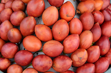 Image showing Red tree tomato  