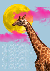 Image showing Giraffe head. Concept of growth, start up, business concepts.