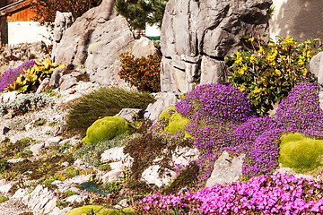 Image showing Beautiful artificially created rock garden