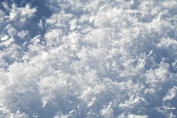 Image showing Snow crystals close-up