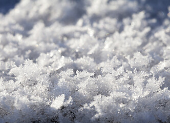 Image showing Snow crystals close-up