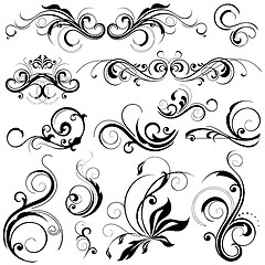 Image showing floral design elements