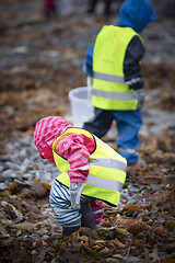 Image showing Picking up Plastic Waste