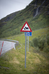 Image showing Norwegian Mountain Road